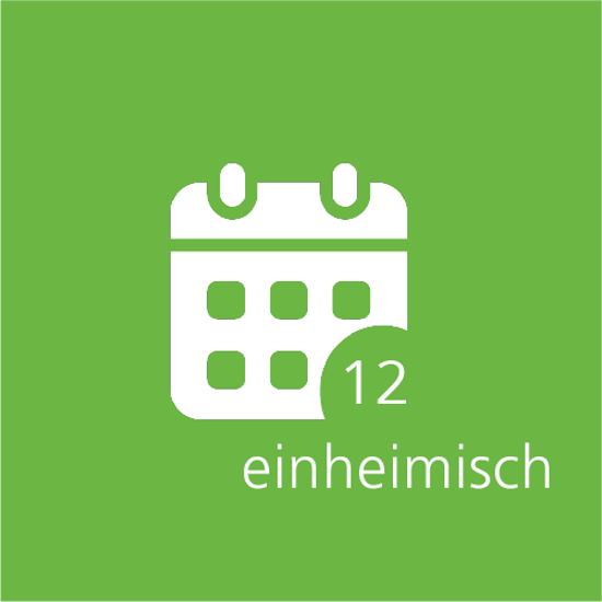 Bild von Hallenbad 12er Abo Kind einheimisch